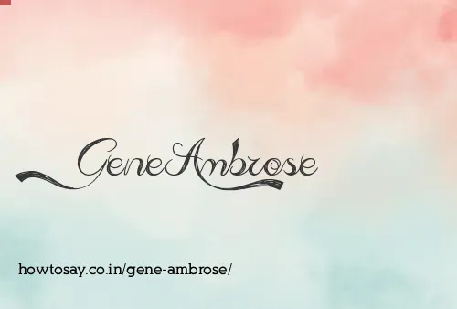 Gene Ambrose