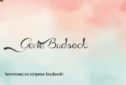 Gene Budsock