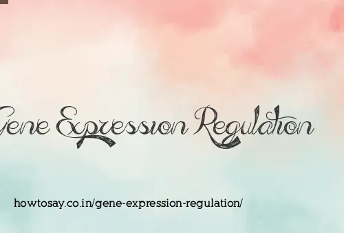 Gene Expression Regulation