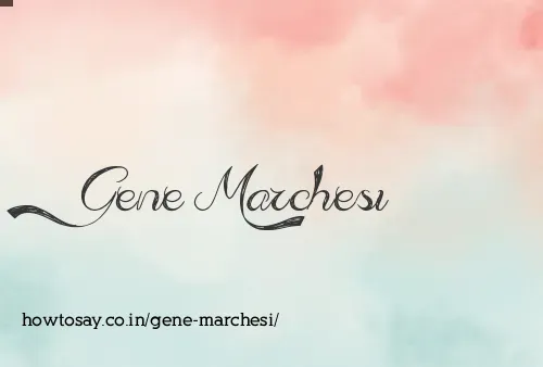 Gene Marchesi