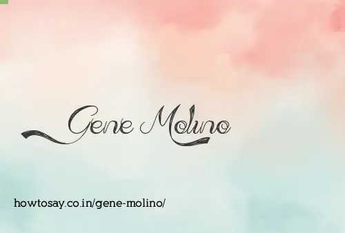 Gene Molino