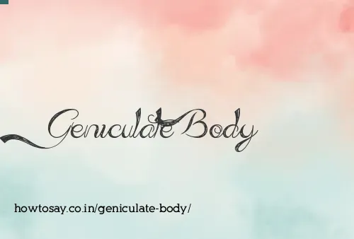 Geniculate Body