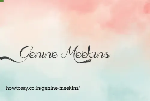 Genine Meekins