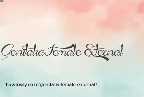 Genitalia Female External