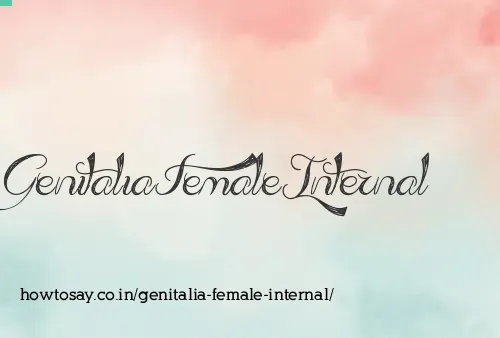 Genitalia Female Internal