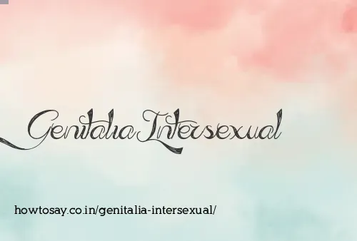 Genitalia Intersexual