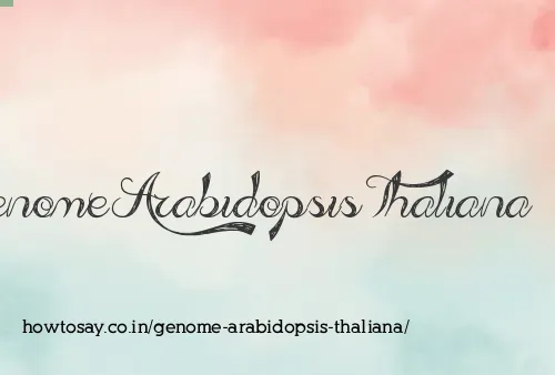 Genome Arabidopsis Thaliana