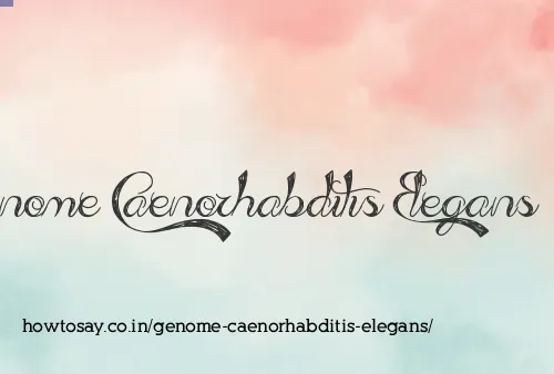 Genome Caenorhabditis Elegans