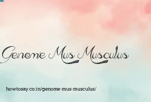 Genome Mus Musculus
