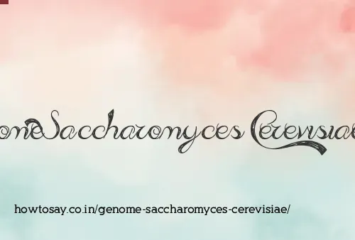 Genome Saccharomyces Cerevisiae
