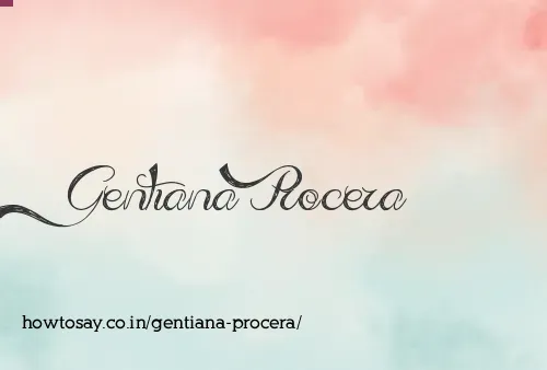 Gentiana Procera
