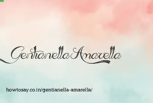 Gentianella Amarella