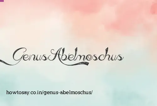 Genus Abelmoschus