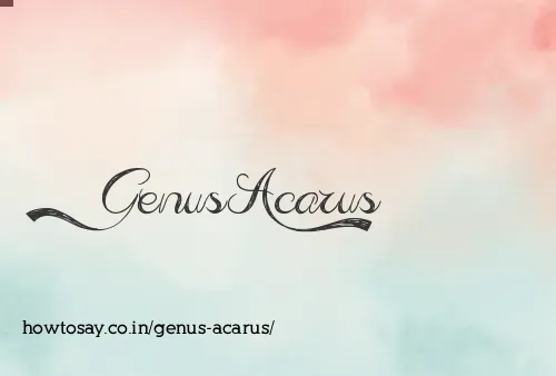 Genus Acarus