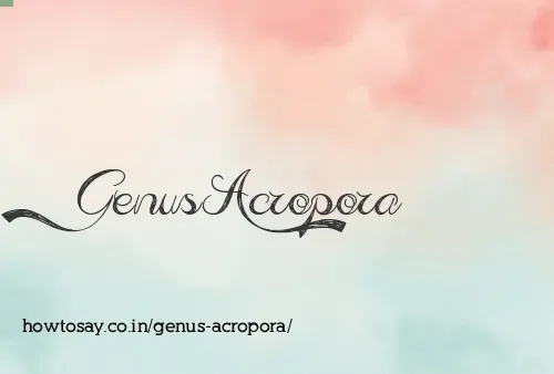 Genus Acropora
