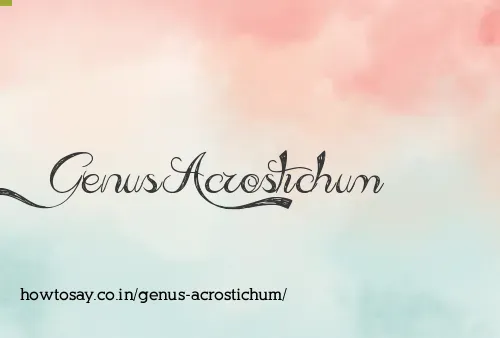 Genus Acrostichum