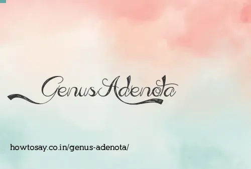Genus Adenota