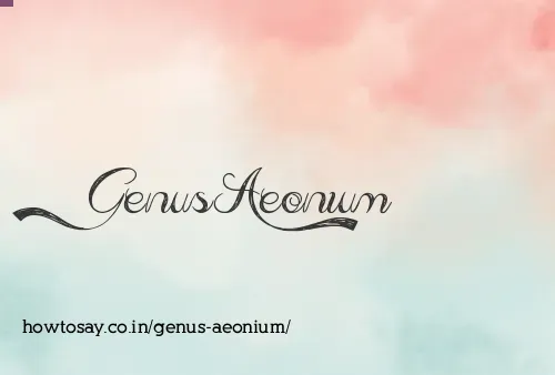 Genus Aeonium