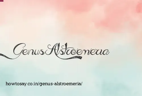 Genus Alstroemeria