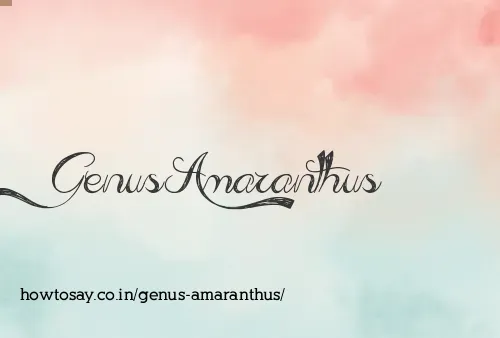 Genus Amaranthus