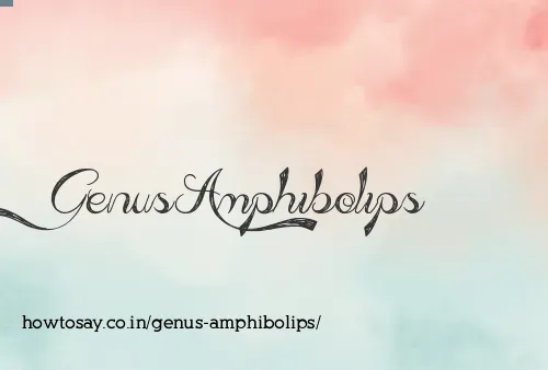 Genus Amphibolips