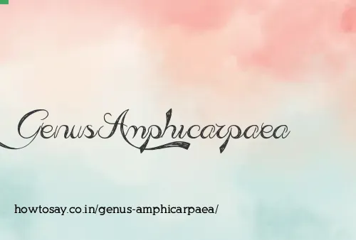 Genus Amphicarpaea