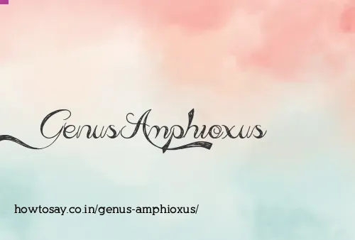 Genus Amphioxus