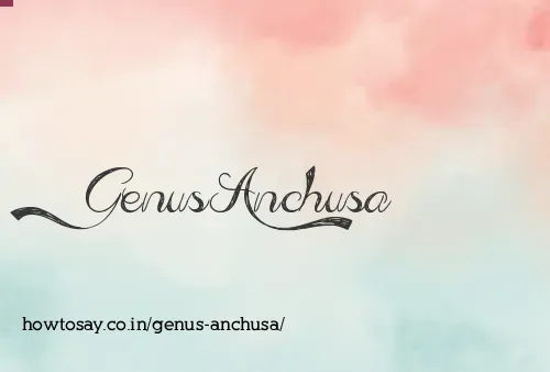 Genus Anchusa