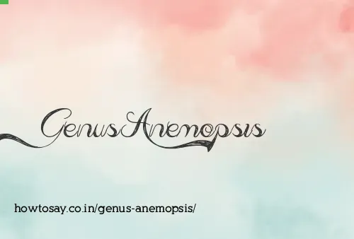 Genus Anemopsis