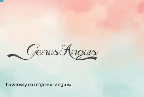 Genus Anguis