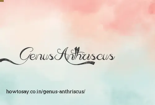 Genus Anthriscus