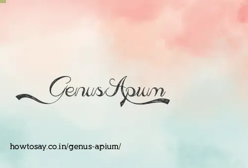 Genus Apium