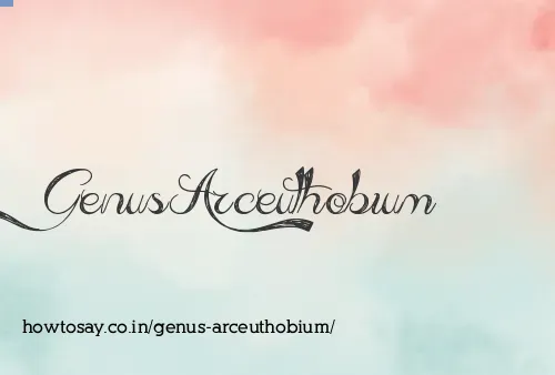 Genus Arceuthobium