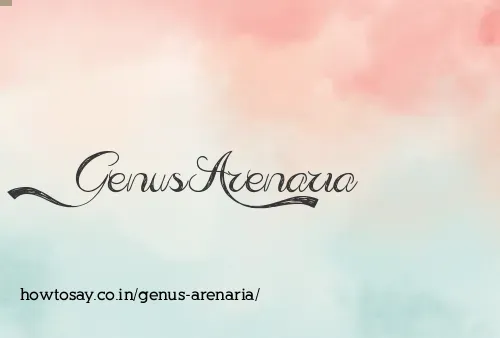 Genus Arenaria