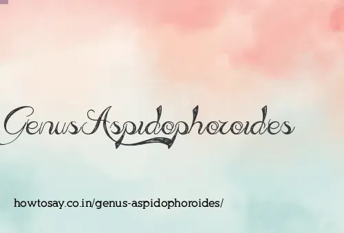 Genus Aspidophoroides