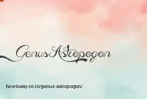 Genus Astropogon