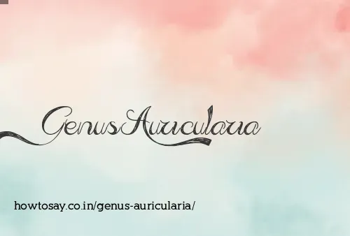 Genus Auricularia