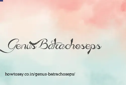 Genus Batrachoseps