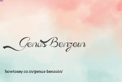 Genus Benzoin
