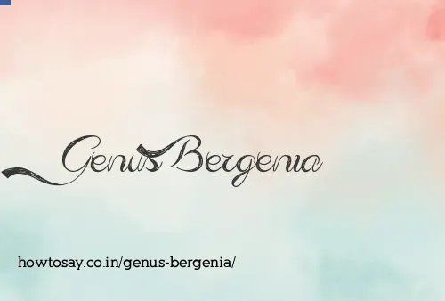 Genus Bergenia