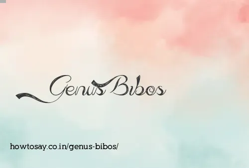 Genus Bibos