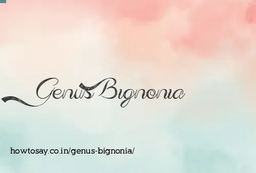 Genus Bignonia