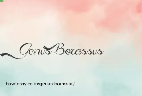 Genus Borassus