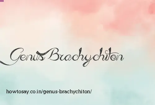 Genus Brachychiton