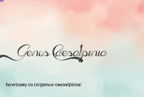 Genus Caesalpinia