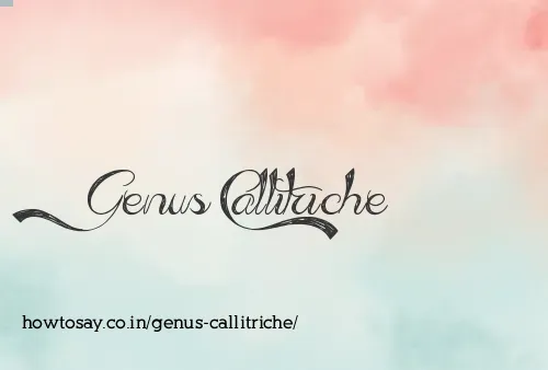 Genus Callitriche