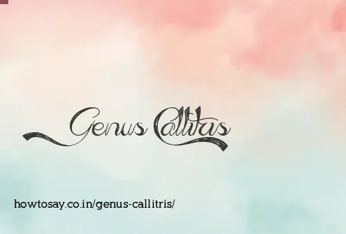 Genus Callitris