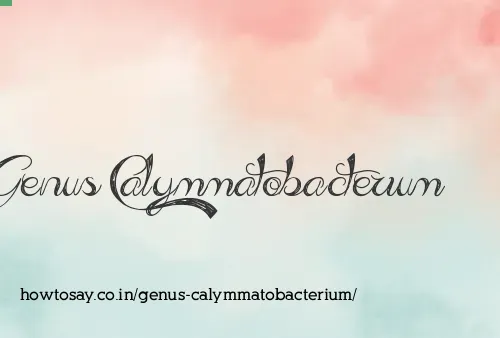 Genus Calymmatobacterium