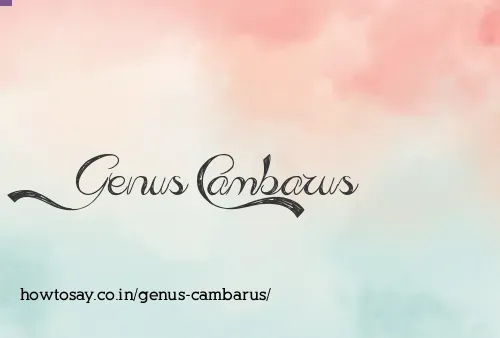 Genus Cambarus