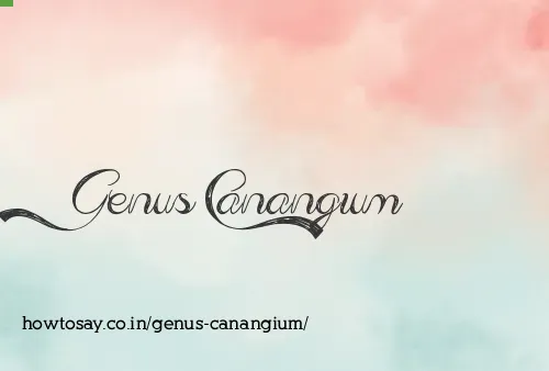 Genus Canangium